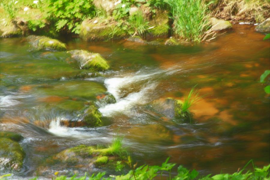 Galeriebild von 