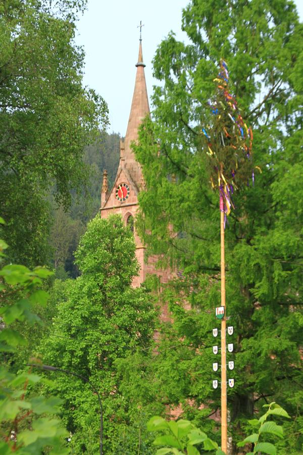 Galeriebild von 