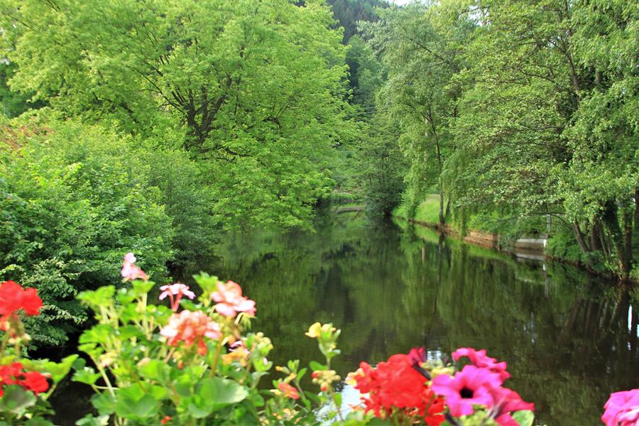 Galeriebild von 