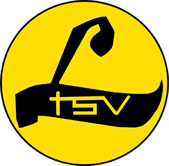 Auswärtslogo