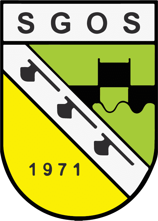 Auswärtslogo
