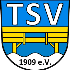 Auswärtslogo